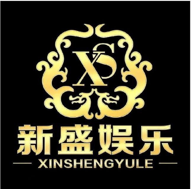 新盛游戏Logo
